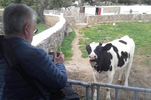 From Mykonos: Ano Mera Farm Tour with Monastery Visit