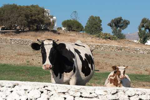 From Mykonos: Ano Mera Farm Tour with Monastery Visit