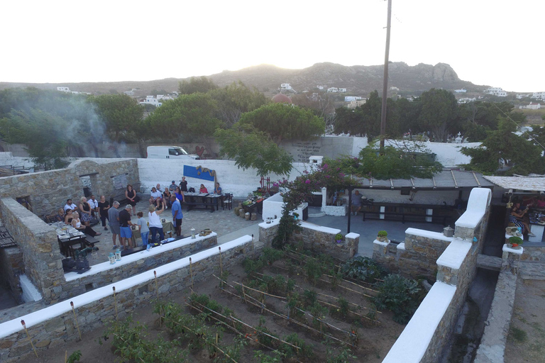 Van Mykonos: Ano Mera Farm Tour met kloosterbezoek