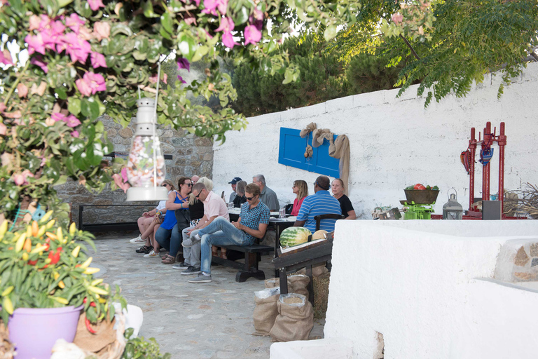 From Mykonos: Ano Mera Farm Tour with Monastery Visit