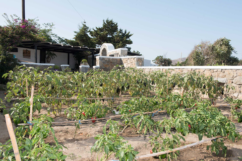 From Mykonos: Ano Mera Farm Tour with Monastery Visit