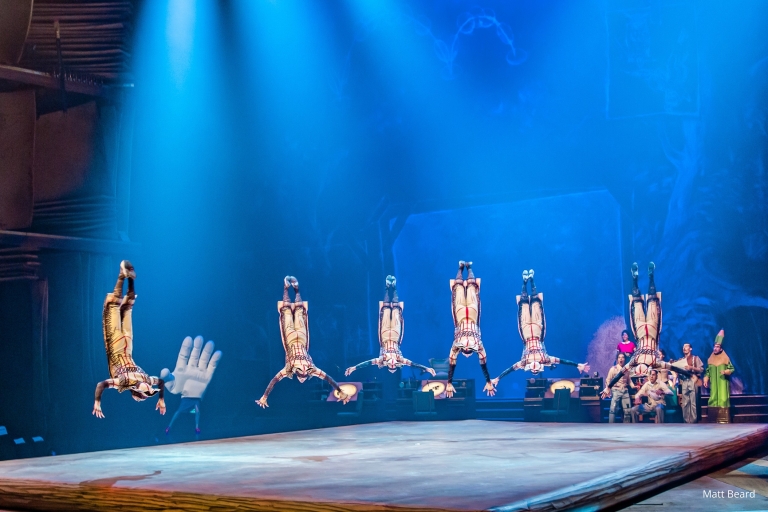 Orlando: karnet „Drawn to Life” Cirque du SoleilMiejsce kategorii 1