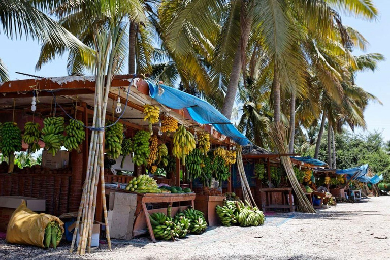 Ganztagestour durch die Stadtführung von Salalah4WD - 4 Passagiere