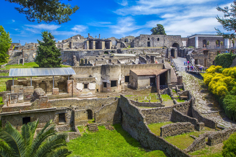 Pompeii: privétour met hotelovername en toegangsbewijs