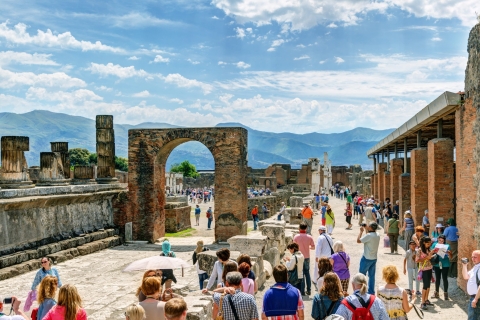 Pompeii: Private Tour with Hotel Pickup and Entry Ticket