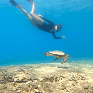 Porto Rico: snorkeling con l'avventura delle tartarughe