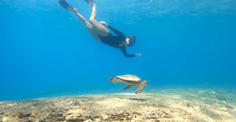 San Juan Swimming and Snorkeling Tour with Turtles GetYourGuide