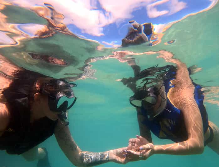 Puerto Rico Snorkeling with Turtles Adventure GetYourGuide