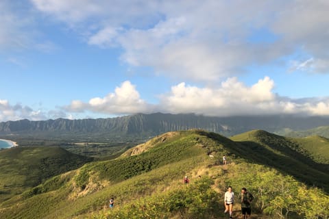 From Waikiki: Manoa Falls Hike and Oahu Tour