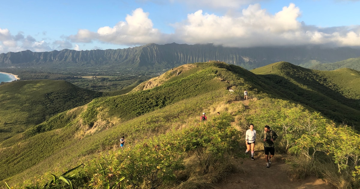 Oahu: Manoa watervallen wandeling en tour | GetYourGuide