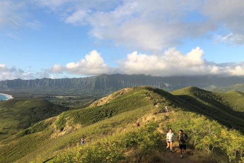 Z Waikiki: wędrówka po wodospadach Manoa i wycieczka po Oahu