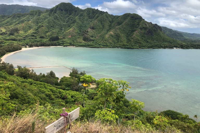 Von Waikiki aus: Wanderung zu den Manoa Falls und Oahu Tour