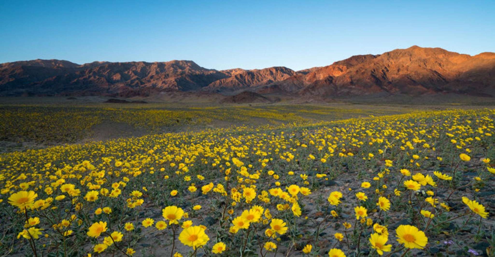 From Las Vegas, Full Day Death Valley Group Tour - Housity