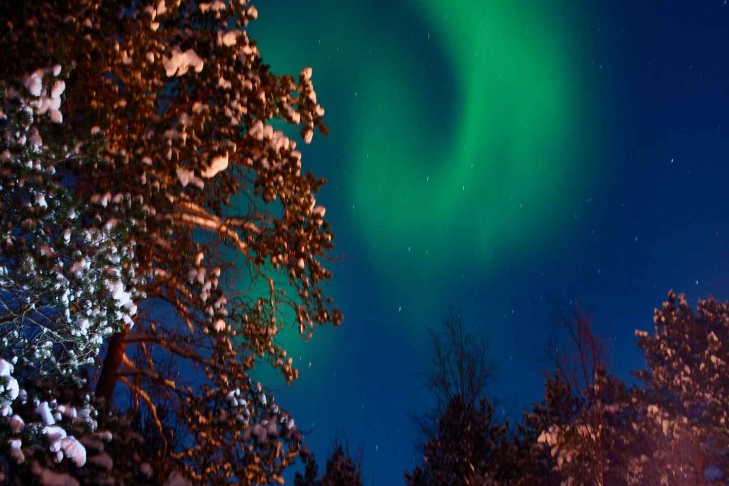 sleigh ride under the northern lights