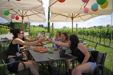 Lake Garda: Wine and Food Tastings in the Vineyards