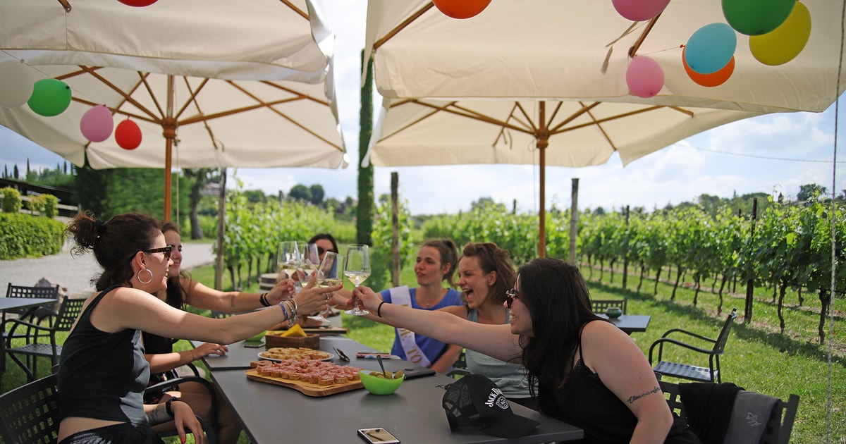 Lake Garda Wine and Food Tastings in the Vineyards GetYourGuide