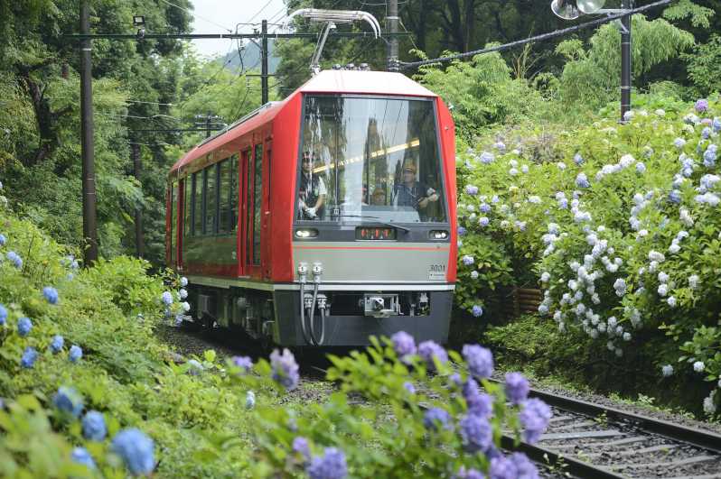 Hakone: Train Pass with Unlimited Rides & Activity Discounts