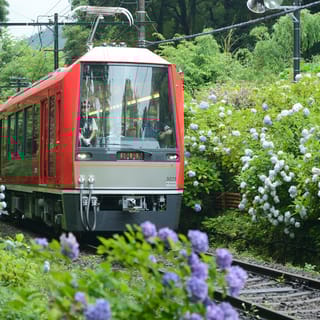 Hakone: Train Pass with Unlimited Rides & Activity Discounts