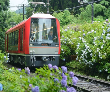 Hakone: Train Pass with Unlimited Rides & Activity Discounts