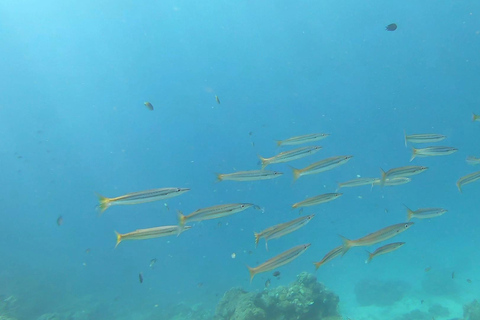 El Nido: 2-Day Island-Hopping Tour to Lincapan with Camping