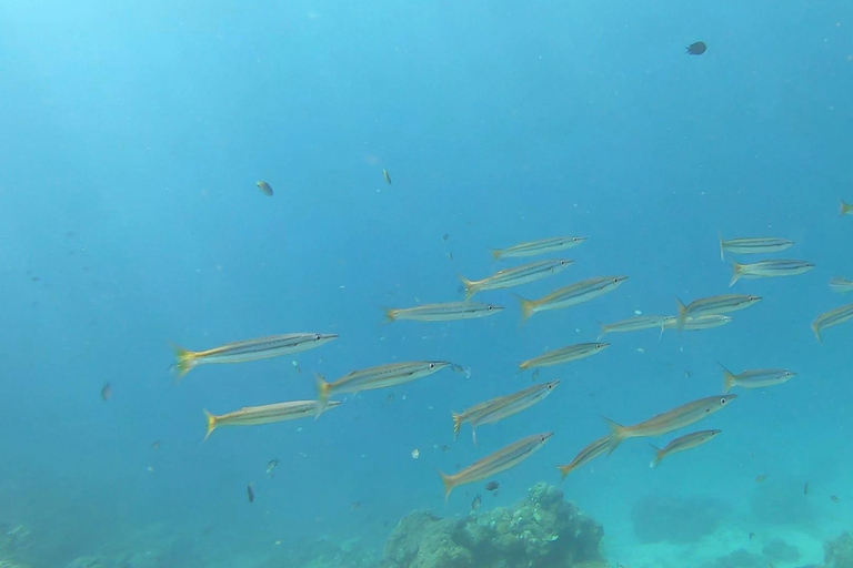 El Nido: 2-Day Island-Hopping Tour to Lincapan with Camping