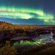 Abisko: Persecución guiada de la Aurora Otoñal con traslados al hotel