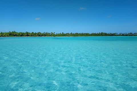 Saona: tour de esnórquel en catamarán para grupos pequeños con almuerzo