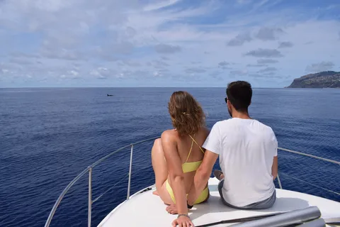 Madère : Croisière d'observation des baleines et des dauphins en privé