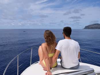 Madeira: Private Whale-Watching-Bootsfahrt mit Delfinbeobachtung