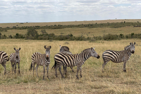 Pół dnia Nairobi - park narodowy, centrum słoni i żyraf