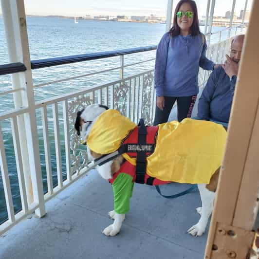 are dogs allowed on boston harbor cruises