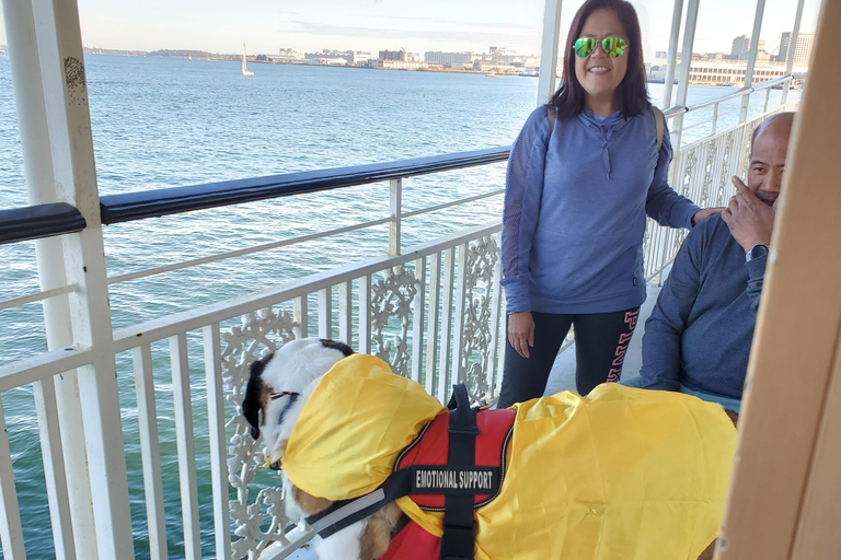 Boston: malowniczy rejs po porcie (przyjazny psom)Boston: Rejs widokowy po porcie (przyjazny psom)