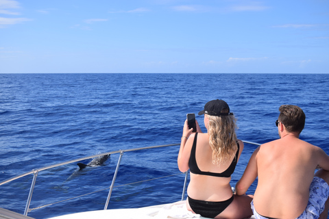 Madère : croisière d&#039;observation des baleines et des dauphins de 2,5 heuresCroisière de groupe