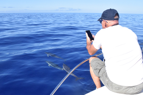 Madère : croisière d&#039;observation des baleines et des dauphins de 2,5 heuresCroisière de groupe