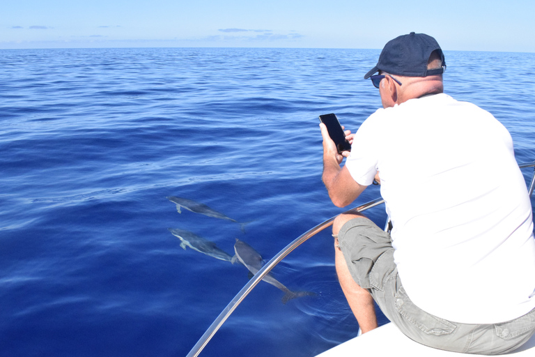 Madère : croisière d&#039;observation des baleines et des dauphins de 2,5 heuresCroisière de groupe