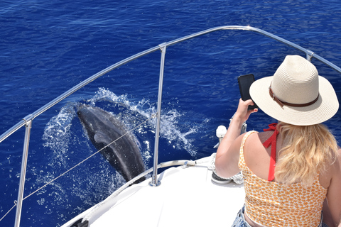 Madère : croisière d&#039;observation des baleines et des dauphins de 2,5 heuresCroisière de groupe