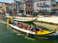 来自Porto，Aveiro，Paiva人行道和Arouca 516人行道 - Housity