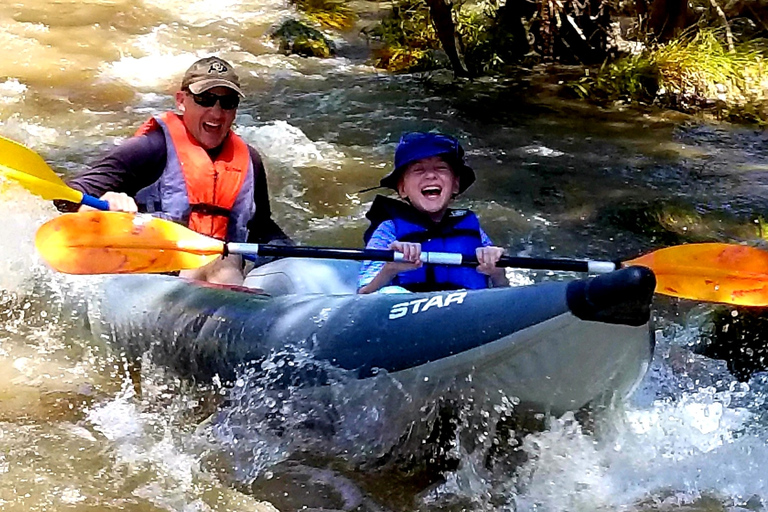 From Cottonwood: Guided Kayaking Tour on the Verde RiverFrom Cottonwood: Guided Kayaking Day Tour on the Verde River