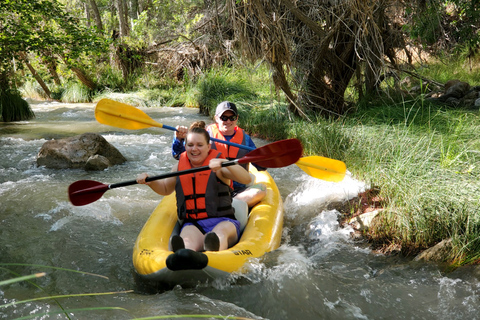 From Cottonwood: Guided Kayaking Tour on the Verde RiverFrom Cottonwood: Guided Kayaking Day Tour on the Verde River