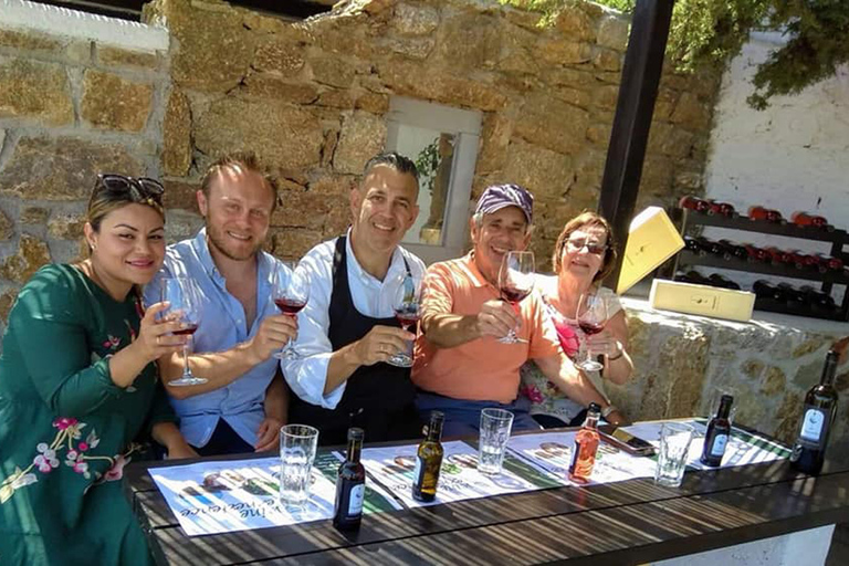 Mykonos: degustação de vinhos em uma fazenda de Mykonos