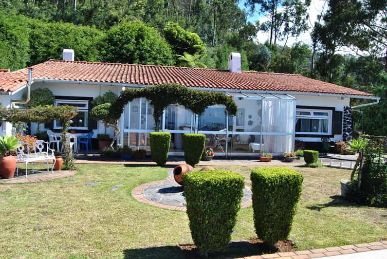 Madeira Guided and Private Tour of Jasmine Tea House GetYourGuide