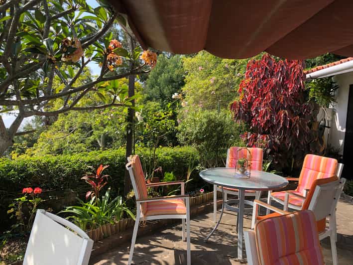 Madeira Guided and Private Tour of Jasmine Tea House GetYourGuide