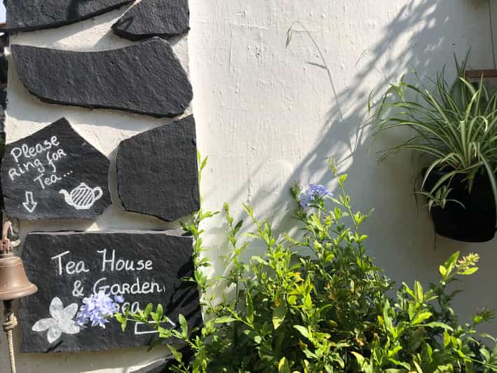 Madeira Guided and Private Tour of Jasmine Tea House GetYourGuide