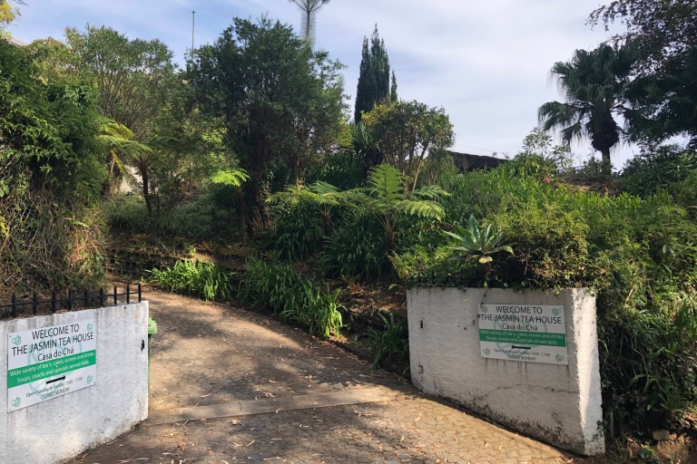 Madère : Visite guidée et privée de la Maison de thé JasminRamassage au port des navires de croisière de Funchal