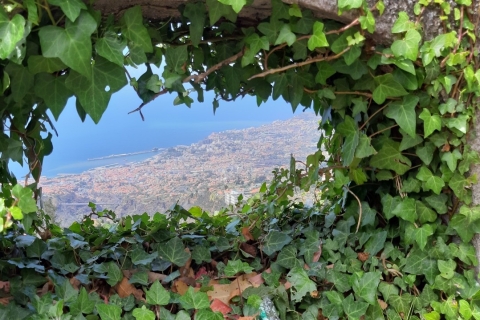 Madeira: Geführte und private Tour durch das Jasmine Tea HouseAbholung vom Kreuzfahrthafen Funchal