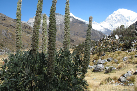 From Huaraz: 3-Day Llanganuco Lakes and Lake 69 Trek