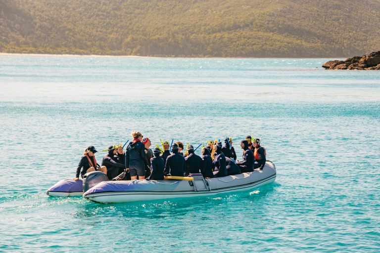 Vanuit Airlie: Whitsundays dagvullende catamarantrip