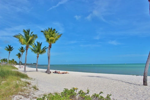 Fort Lauderdale/Sunny Isles: dagtocht naar Key West + activiteitenDagtocht + Snorkelen met Open Bar na het snorkelen