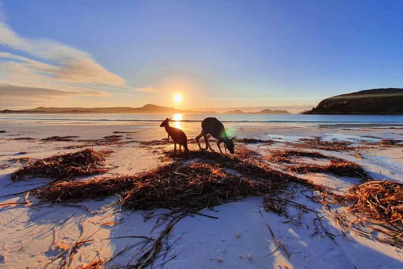 Esperance & Margaret River Adventure 6Day Tour GetYourGuide