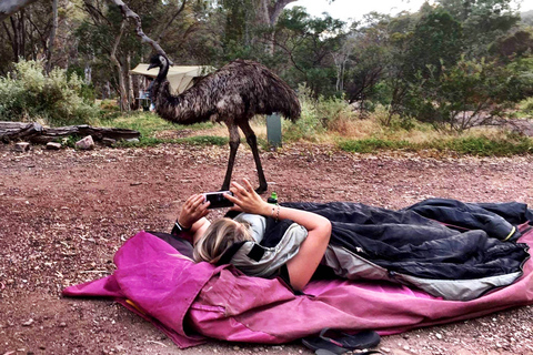 Desde Perth: Excursión de 6 días de Margaret River a Esperance